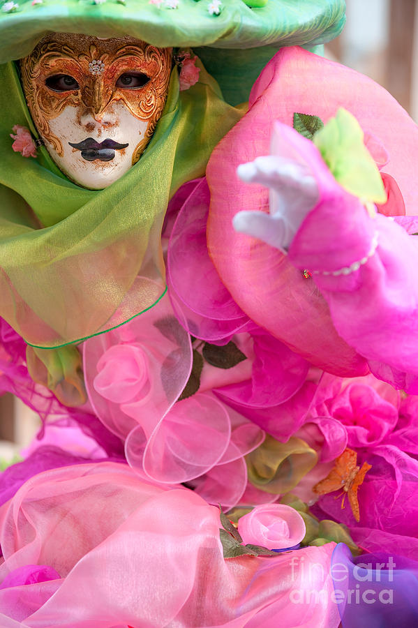 Venice Mask Carnival. Photograph by Luciano Mortula