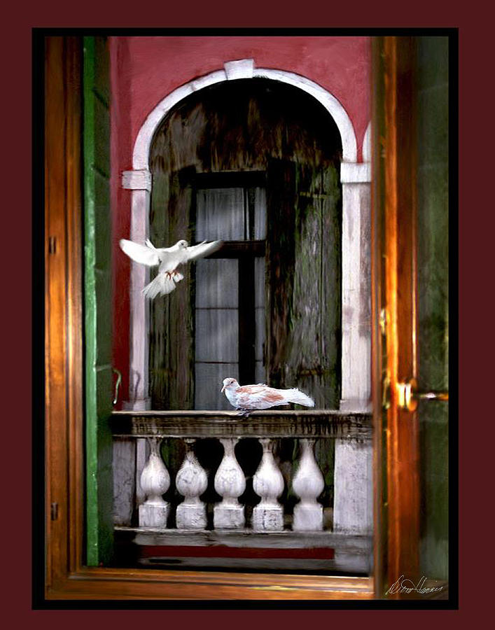 Venice Window Photograph by Diana Haronis