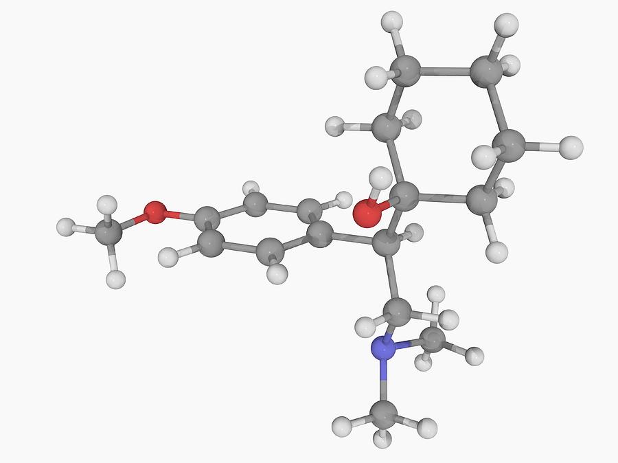 Venlafaxine Drug Molecule Digital Art by Laguna Design