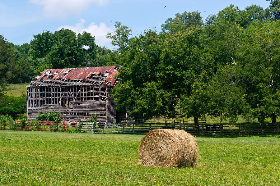 Ventilated Barn 11 Photograph by Douglas Barnett - Pixels