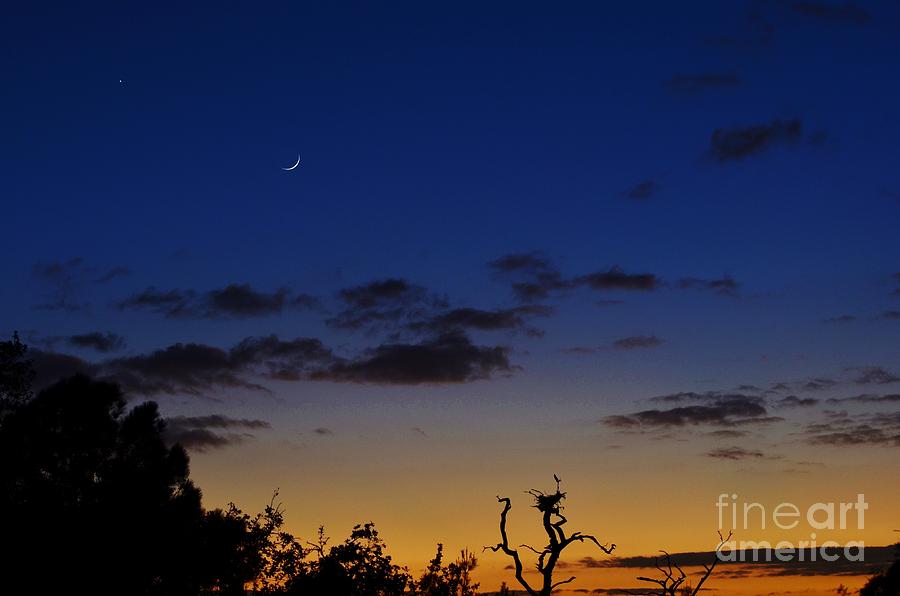 Venus and the Moon at Sunset Photograph by Lynda Dawson-Youngclaus