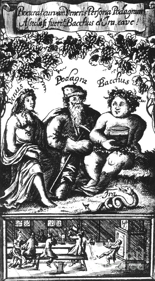 Greek Photograph - Venus, Podagra And Bacchus, 1687 by Science Source