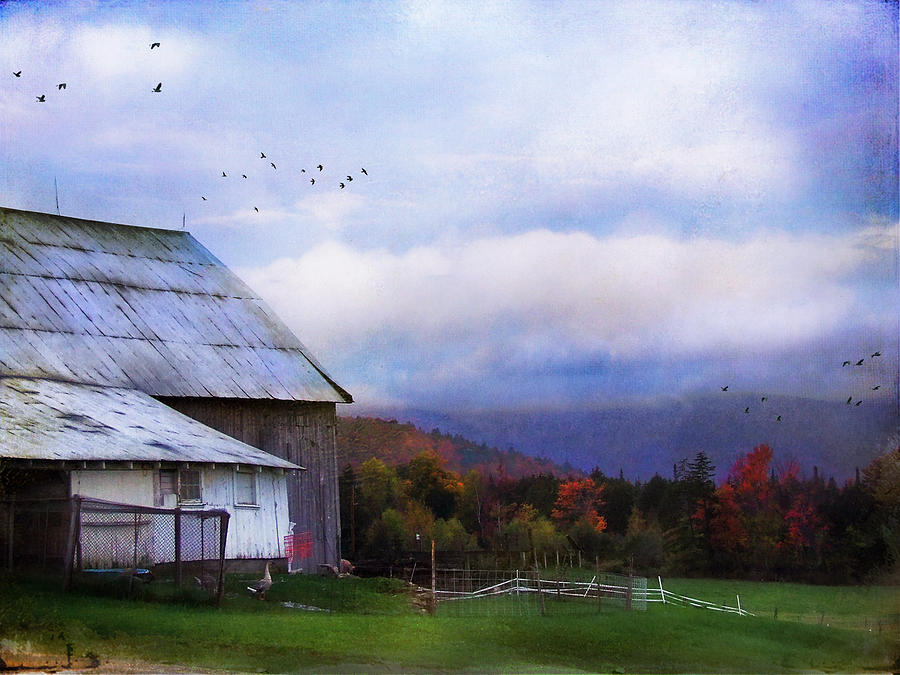Vermont  Photograph by John Rivera