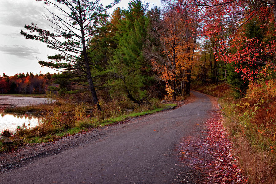Vermont Autumn Road Photograph by Tom Singleton