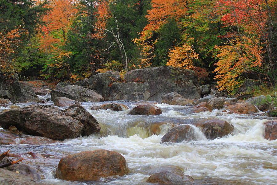 Vermont Stream Photograph by Matthew Winn | Fine Art America