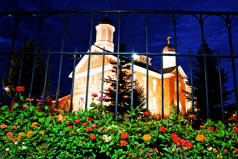 Vernal Temple Flowers Photograph by La Rae Roberts Fine Art America