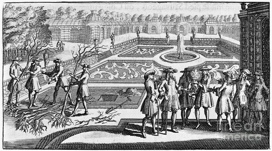 Tree Photograph - Versailles: Gardens, 1690 by Granger