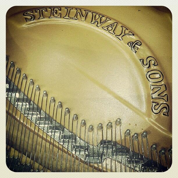 Versus Steinway & Sons Photograph by Luise Sommer