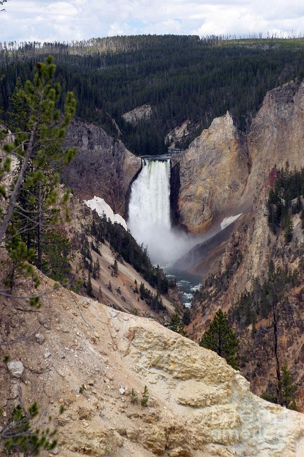 Vertical Lower Falls Of Yellowstone Photograph by Living Color Photography Lorraine Lynch