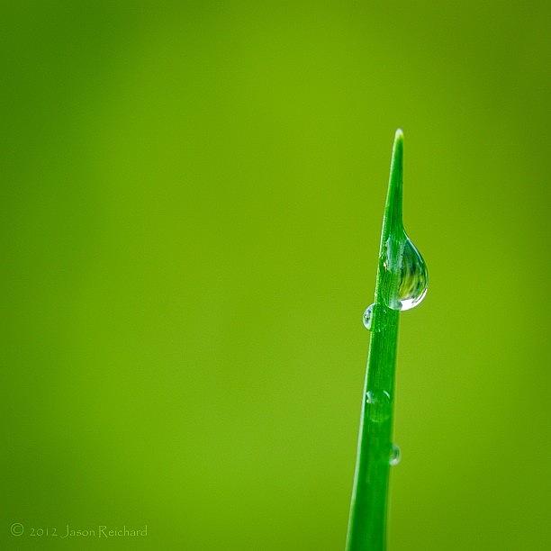 Nature Photograph - Very #green, Thats How I Felt Playing by Jason Reichard