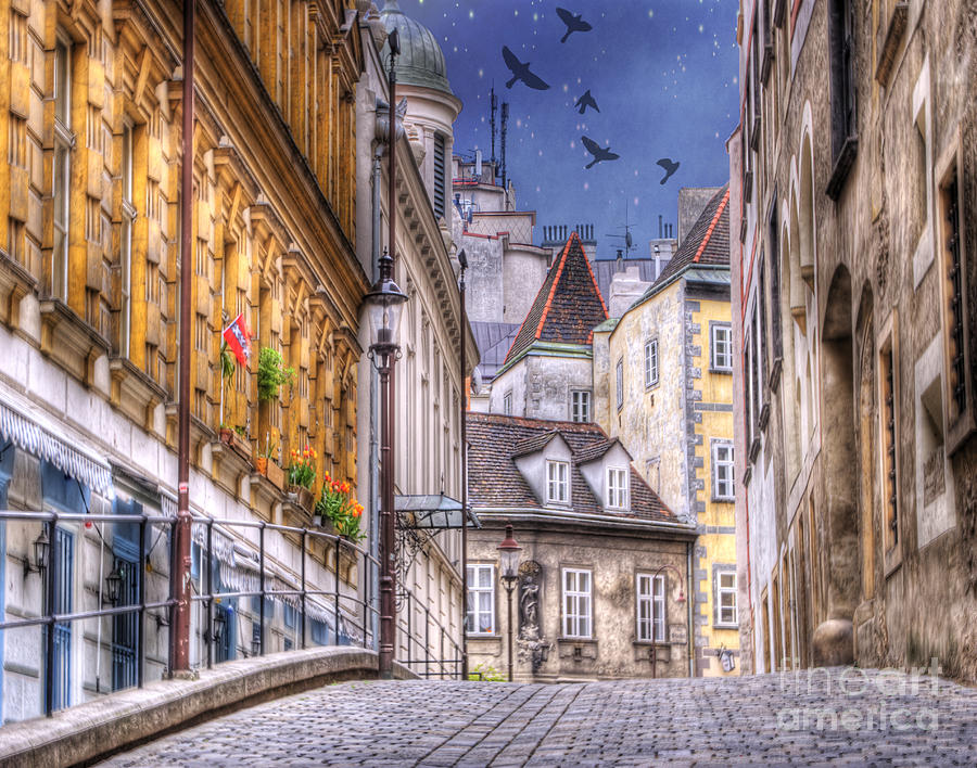VIENNA Cobblestone Alleys and Forgotten Streets Photograph by Juli Scalzi