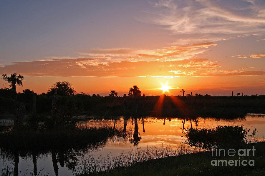 Viera Wetlands Sunset Photograph by Jennifer Zelik