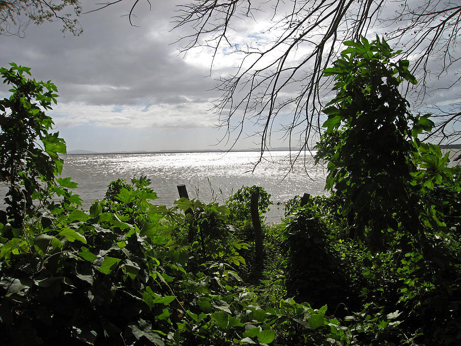 Nature Photograph - View From Charco Verde Ometepe Nicaragua by Kurt Van Wagner