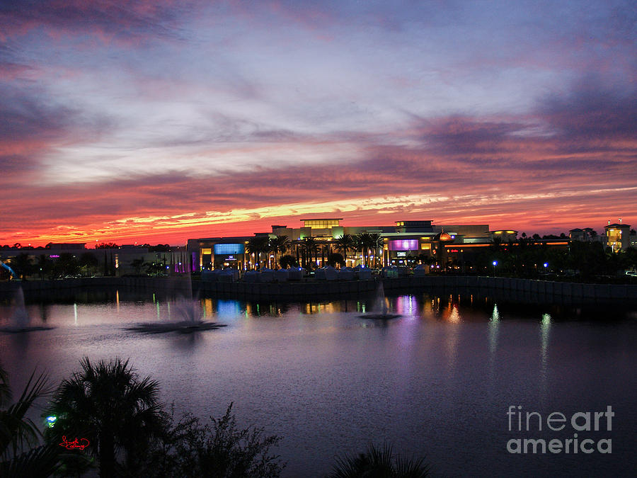 Sunset Palm Beach Florida Photograph by Ginette Callaway