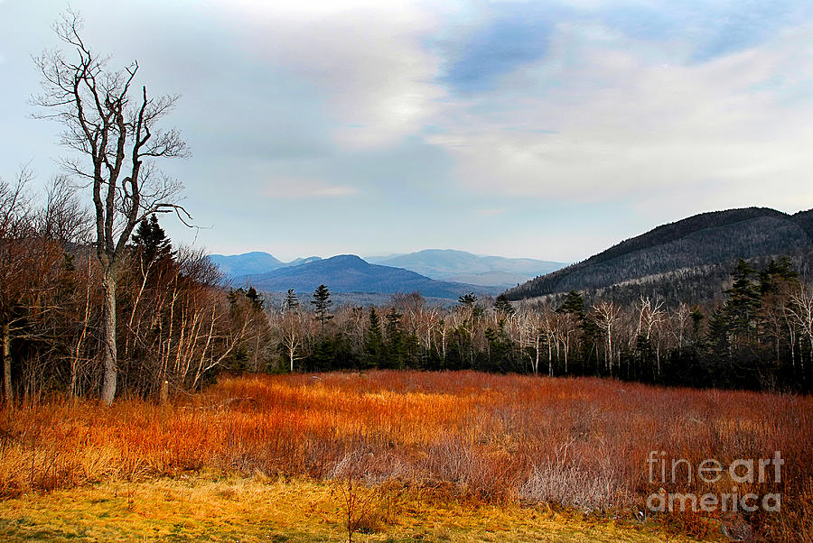 View from Kancamagus Highway Photograph by Tom Callan