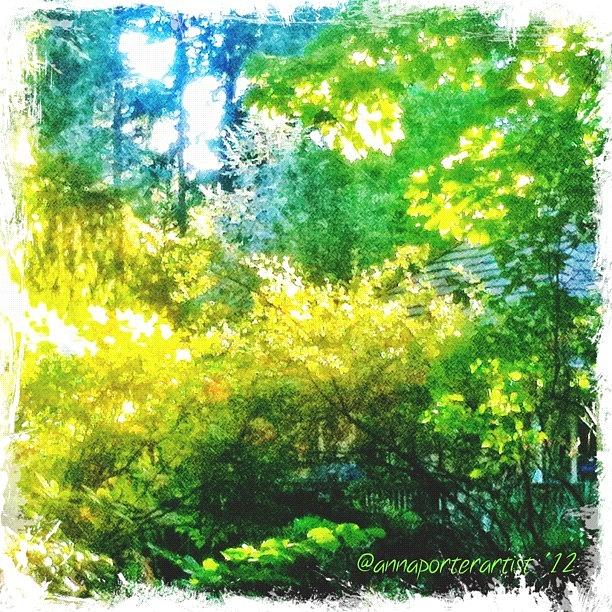 Summer Photograph - Summer view in my garden by Anna Porter
