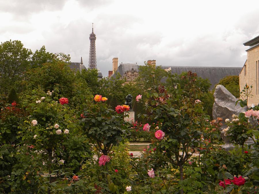 View from Rodin Museum Photograph by Manuela Constantin