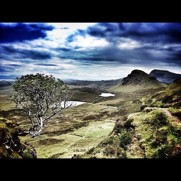 Tree Photograph - View From The Quiraing, Isle Of Skye! by Robert Campbell