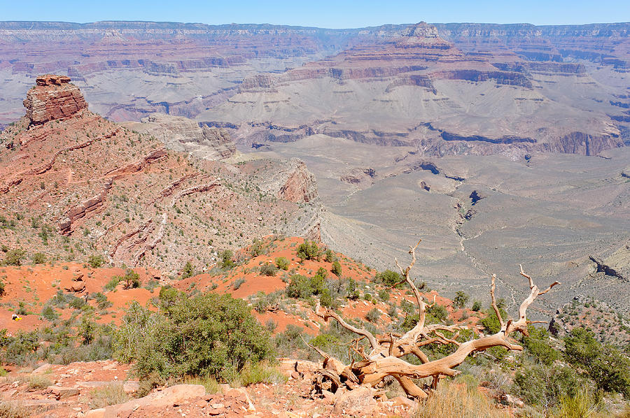 View from the South Kaibab Trail II Photograph by Julie Niemela