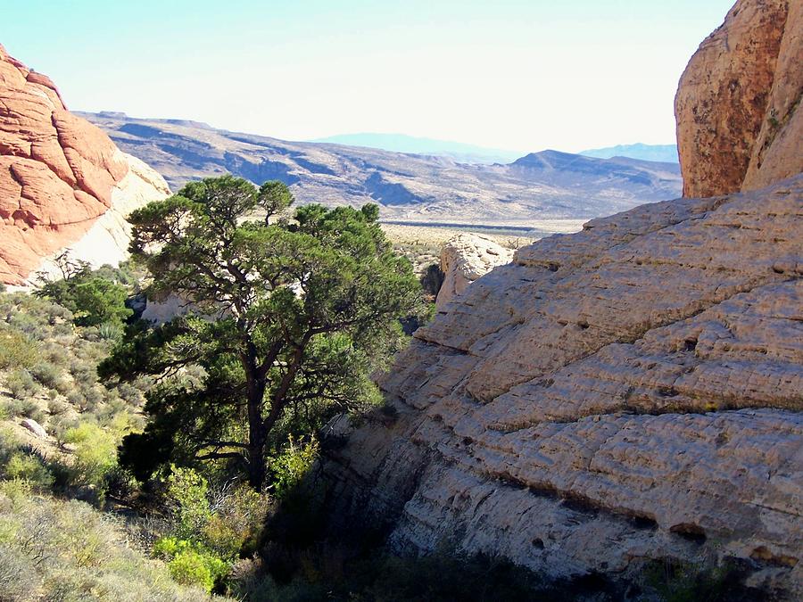 Landscape Photograph - View From The Top by Ann Whitfield Landscape Photograph - View From The Top by Ann Whitfield