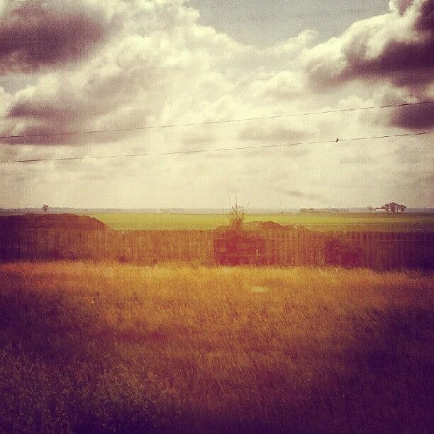 View From The Train: Central Illinois Photograph by Heather Hogan