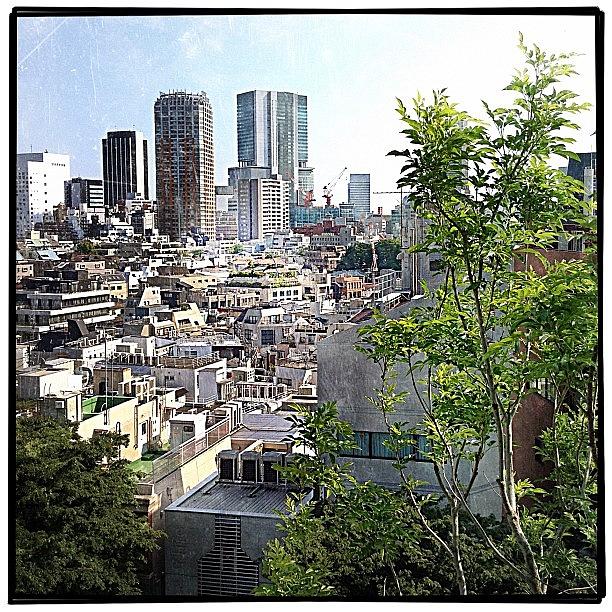 Skyscraper Photograph - View From Tokyo Roof Garden by Marc Gascoigne