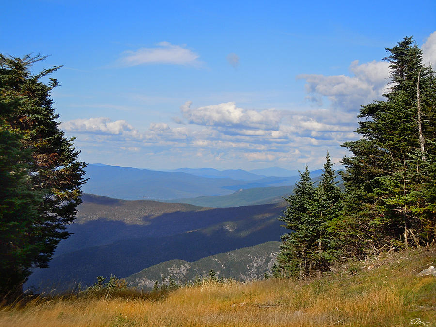 View from Top of Cannon Mountain Photograph by Nancy Griswold
