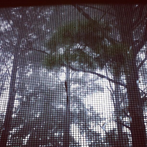 Rain Photograph - View From @zaynay S Window Of The #rain by Amber Edsall