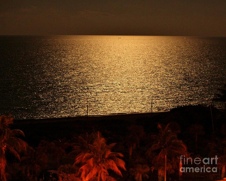View Me Full Screen II On A Full Moon Night Photograph by Rene Triay FineArt Photos