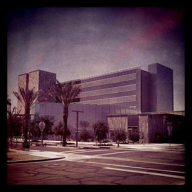 View Of Chandler City Hall From My Work Photograph by Isaac Kiehl