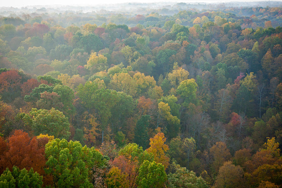 View of Fall from Above Photograph by Anthony Doudt