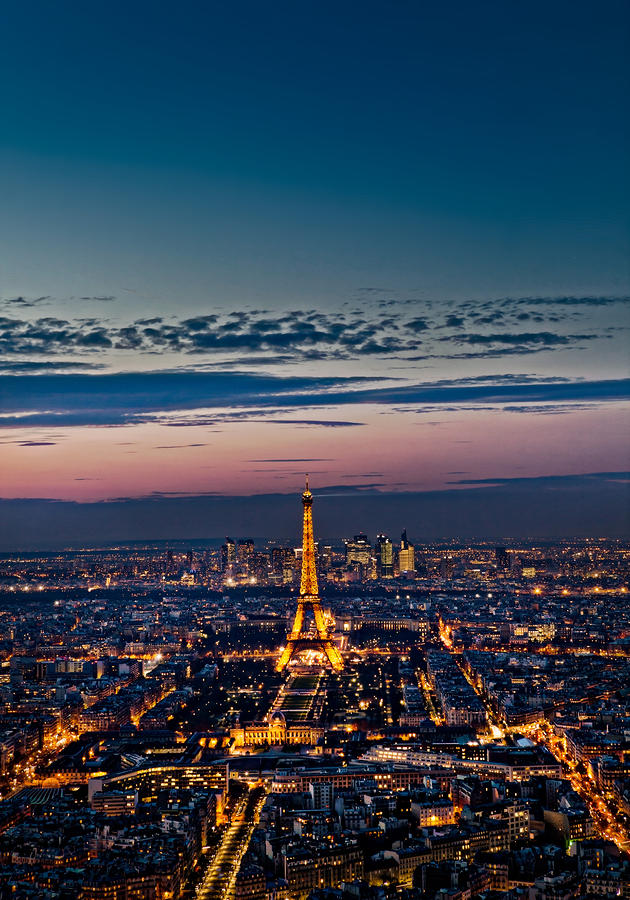 View Of Paris From Montparnasse Tower Photograph