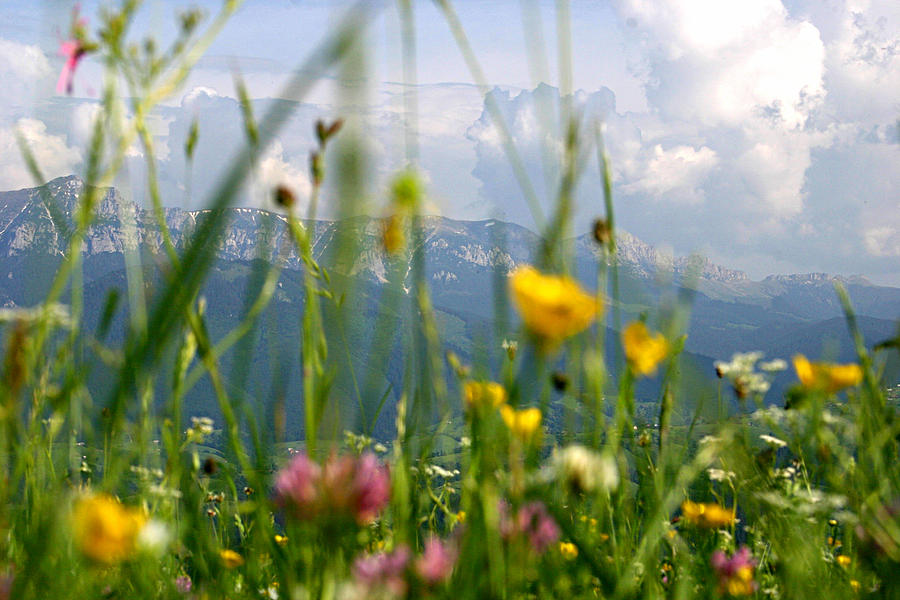 View of Piatra Craiului Mountains Photograph by Emanuel Tanjala