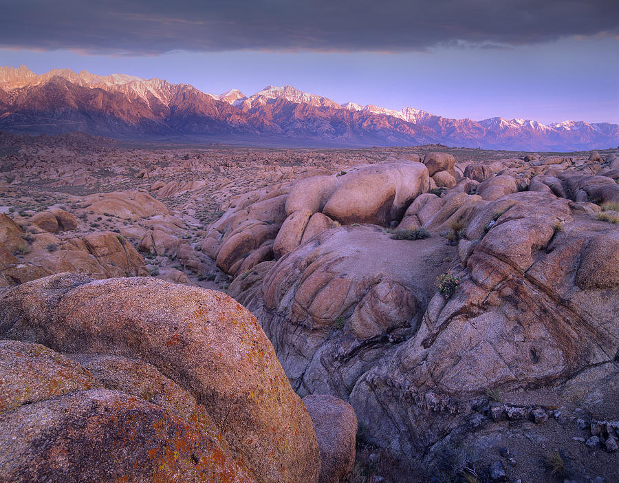 View Of Sierra Nevada Range As Seen Photograph by Tim Fitzharris