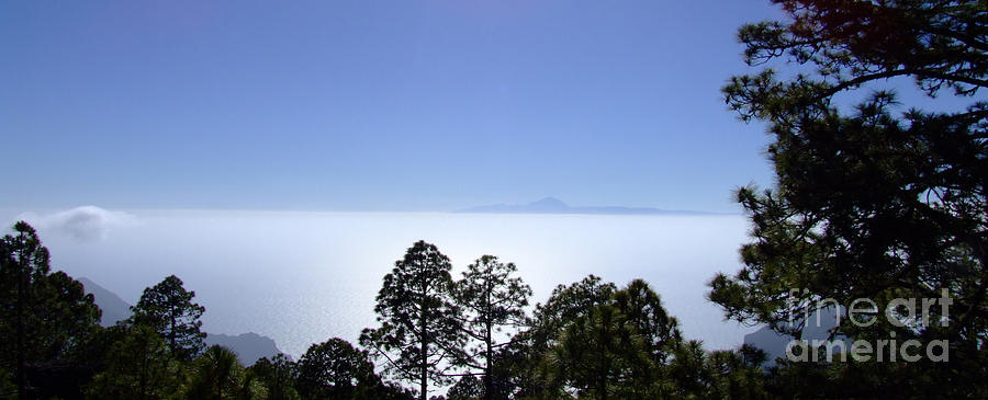 View of Tenerife Photograph by Andrew Middleton