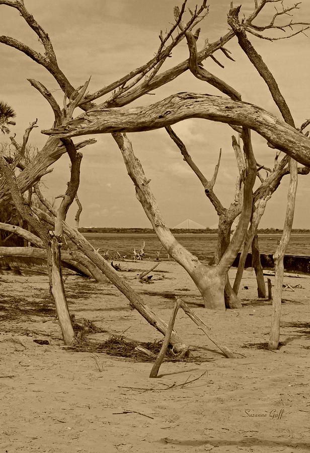 View of the Cooper River Bridge from the Boneyard in sepia Photograph by Suzanne Gaff