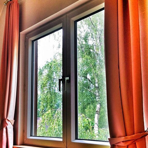 Nature Photograph - View Out My Window #trees #window by Shelley Walsh