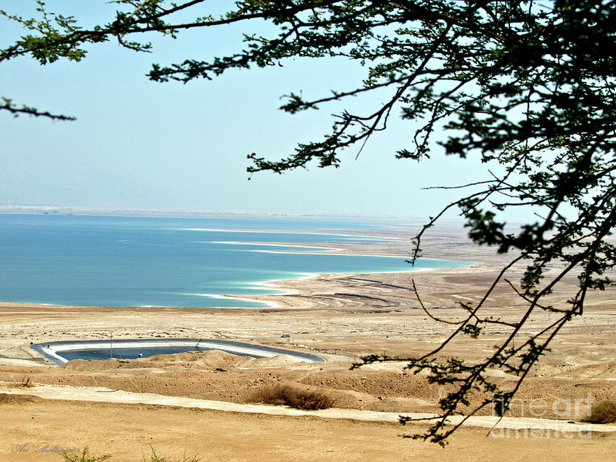 View to the lowest place on earth the Dead Sea 02 Photograph by Arik Baltinester