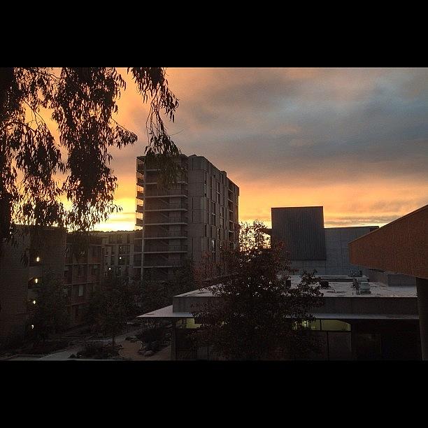 Sunset Photograph - #view #ucsd #revelle #argo #sunset by Anthony Wang