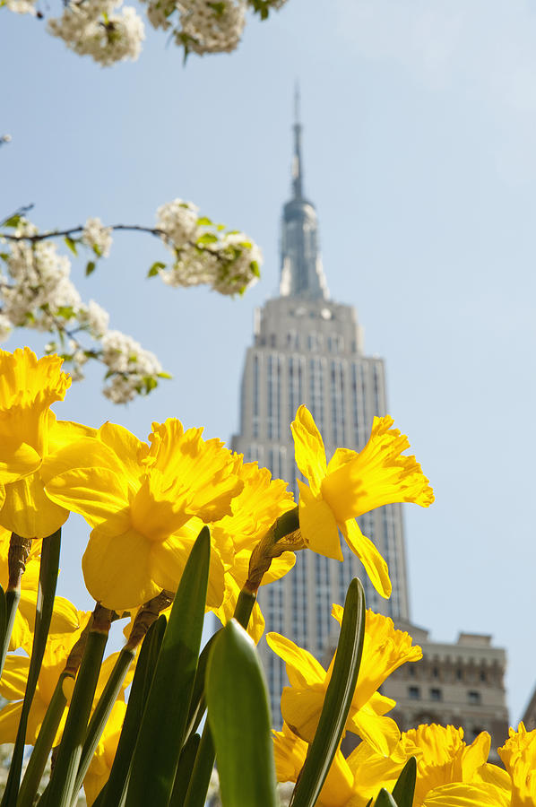 Views Of The Empire State Building And Photograph by Axiom Photographic ...