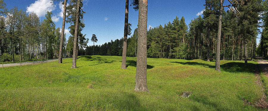 Viking Mound Field Photograph by Jan W Faul
