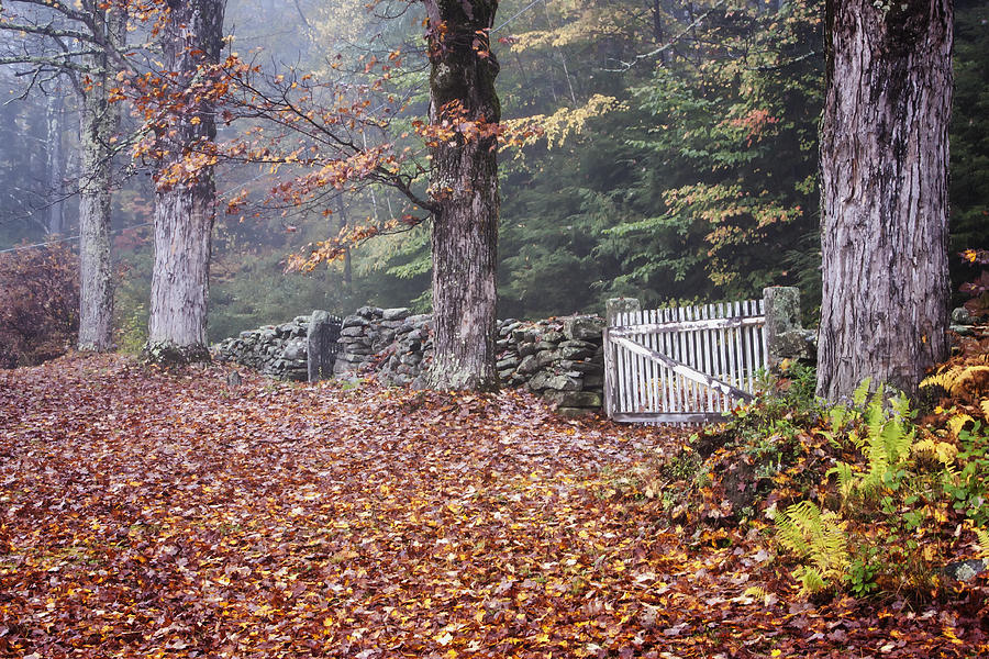 Village Cemetery Gate Photograph by Tom Singleton