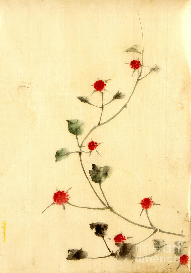 Vine with Red Blooms 1840 Photograph by Padre Art