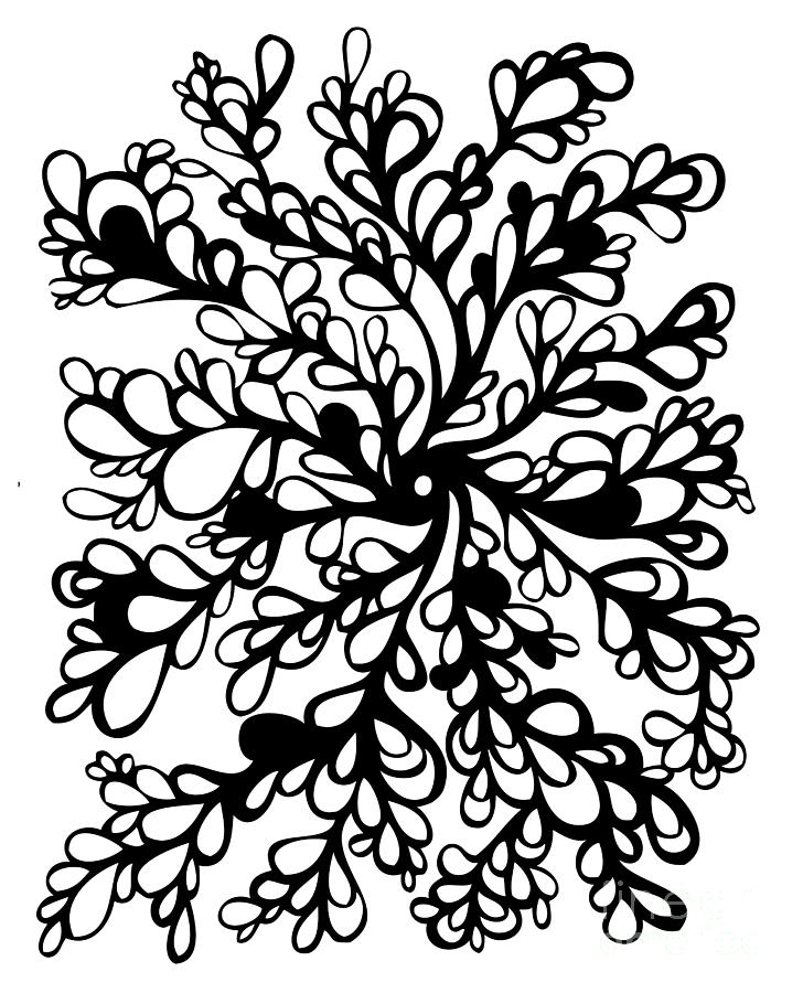 Vines Drawing by HD Connelly