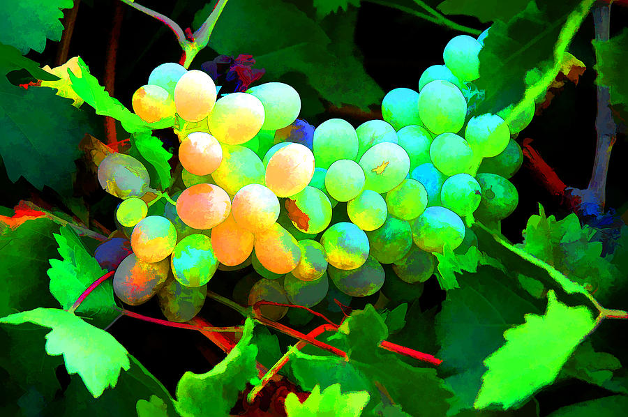 Fruit Photograph - Vineyard 03 by Manolis Tsantakis