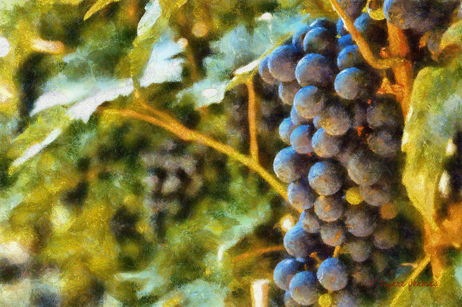 Vineyard Booty Painting by Lynne Jenkins