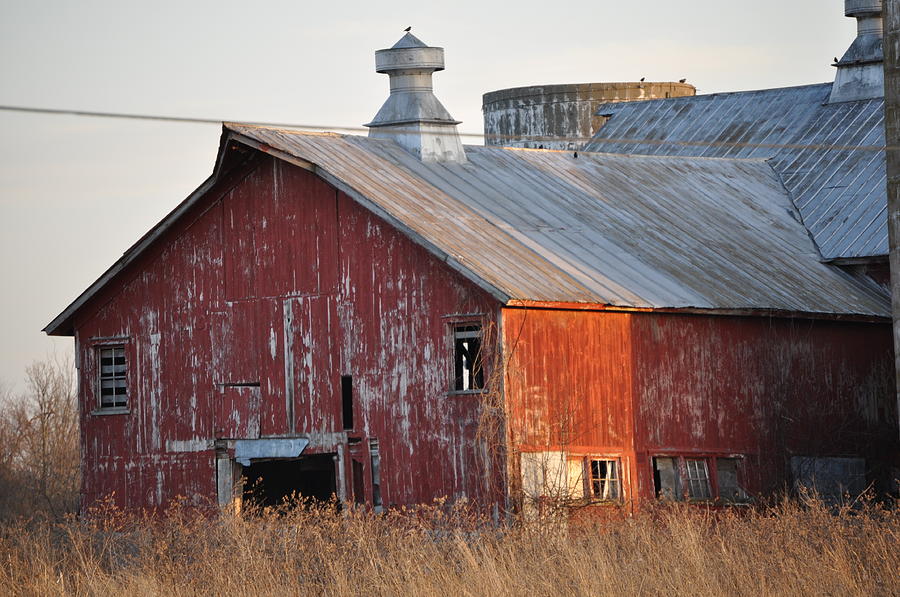 Vintage Barn Photograph by John Mills | Fine Art America