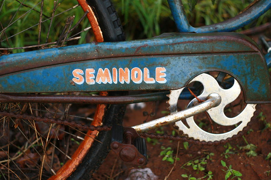 Hiawatha Seminole Vintage Bicycle Photograph by Toni Hopper