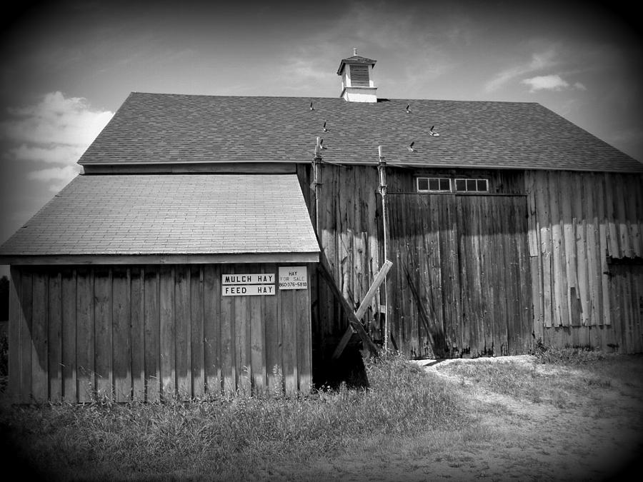 Vintage black and white Photograph by Kim Galluzzo