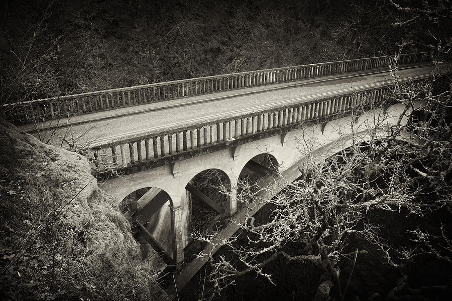 Vintage Bridge Photograph by Jon Ares